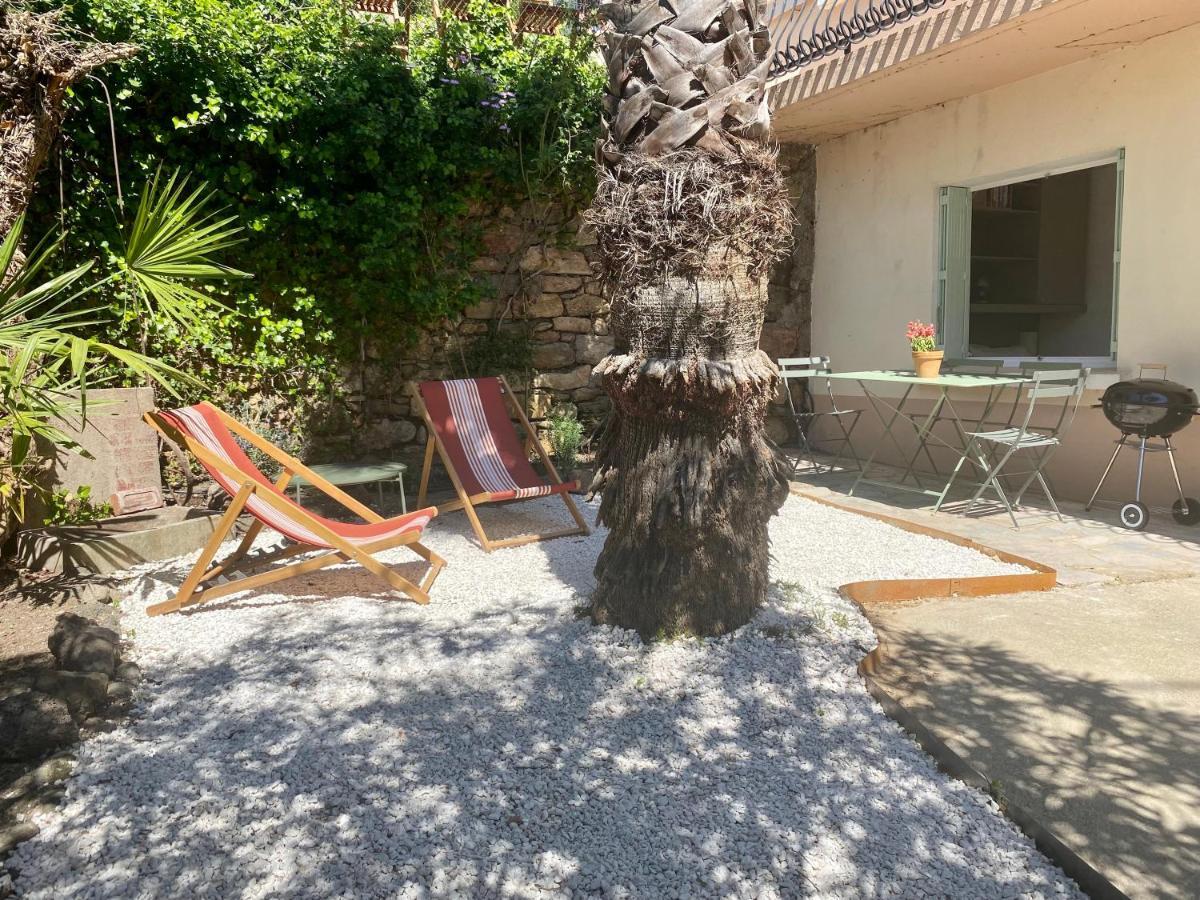 Gite Le Palmier - Perfectly Located Cosy Studio With Private Garden Puissalicon Exterior photo