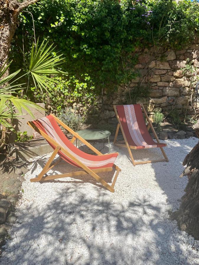 Gite Le Palmier - Perfectly Located Cosy Studio With Private Garden Puissalicon Exterior photo